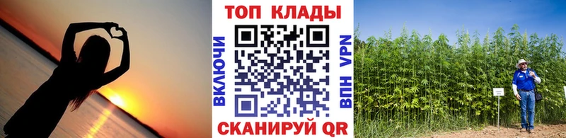 Где найти наркотики Урень гидра рабочий сайт  COCAIN  Меф  ГАШИШ  Псилоцибиновые грибы 